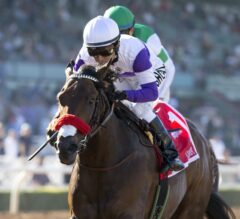Nyquist Among Eligibles for $1 Million Bonus in Gulfstream’s Florida Derby