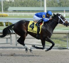 Penwith Turns Away Sandiva to Take G2 Royal Delta at Gulfstream Park
