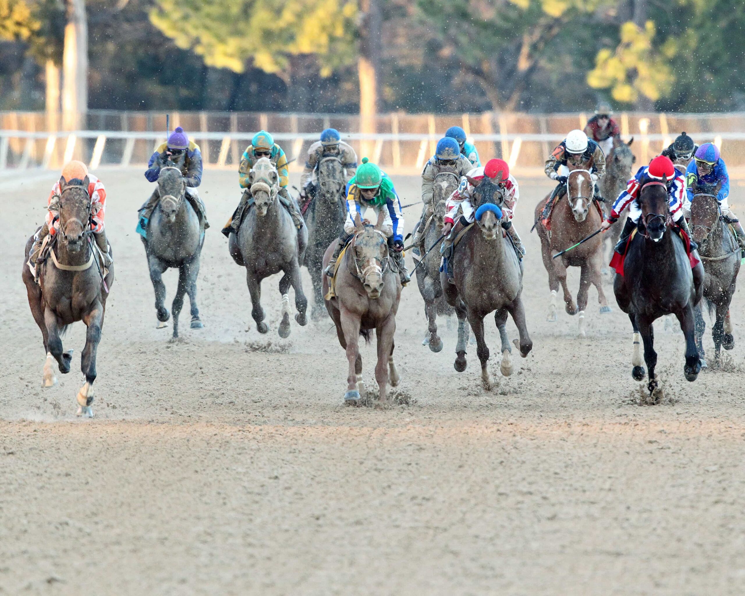 Oaklawn Park Barn Notes Suddenbreakingnews Pointing to Rebel Stakes