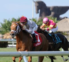 Sandiva Can Follow Stablemate Mshawish in $200,000 G2 Royal Delta