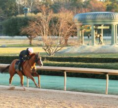 Oaklawn Park Barn Notes: Whitmore Works His Way Into the Southwest