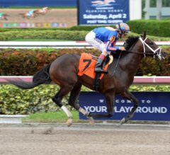 Zulu ‘On Schedule’ for Stakes Debut in G2 Fountain of Youth at Gulfstream Park