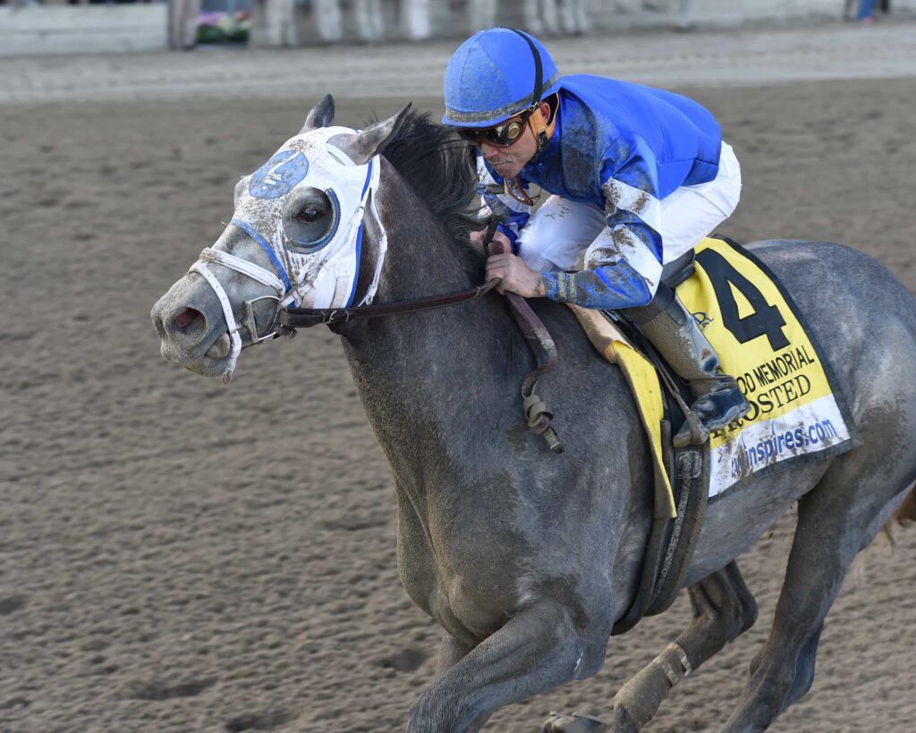 Chelsea Durand/NYRA