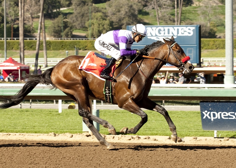 Racing Dudes Top 20 Kentucky Derby Rankings 7