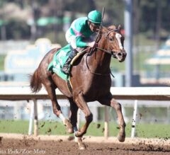 Zenyatta’s Second Foal, Ziconic, Rallies From Far Back to Finish Third in Debut