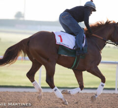 Del Mar Stable Notes: California Chrome Ready for Del Mar