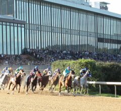 Oaklawn Park Announcing Job Open Once Again