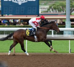 G1 Coaching Club American Oaks Purse Increase to $500,000, Contingent on Songbird Starting
