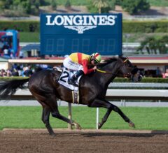 Danzing Candy to Make First Start for Baffert in G3 Affirmed Stakes