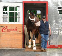 Nyquist Arrives at Gulfstream Park for Saturday’s G1 Florida Derby