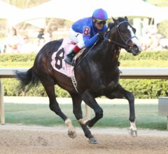 Oaklawn Report #11: Will Munnings Dominates the Gazebo Stakes