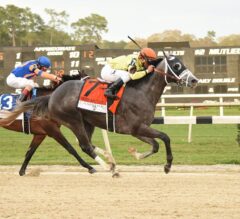 Destin Sets Track Record, Wins Tampa Bay Derby in Huge Performance for Todd Pletcher