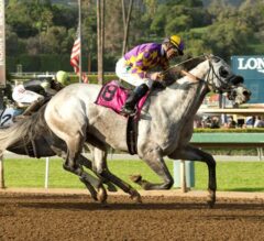 Kobe’s Back Comes From Last to Take G2 San Carlos Stakes