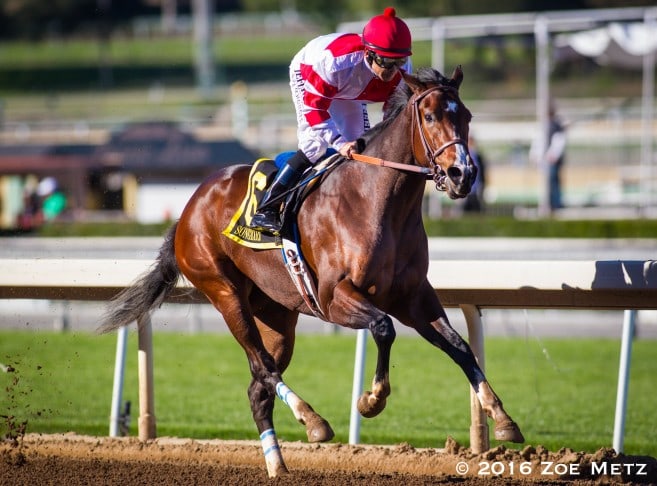 Racing Dudes Three Stars of the Week | Thoroughbred Racing ...