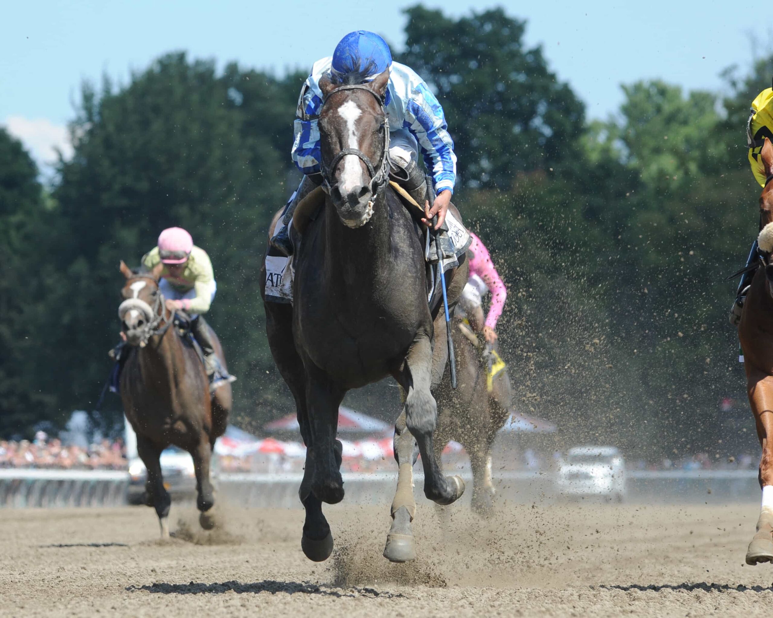 Razor Back Racing Oaklawn Park Barn Notes: Razorback and Azeri Updates