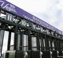 Fields Set for 33rd Edition of Breeders’ Cup World Championships