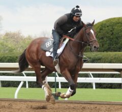 Keeneland Barn Notes: Romans Horses Join Blue Grass Preparations at Keeneland