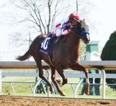 Collected Romps in G3 Lexington, Earns 10 Points Towards Kentucky Derby