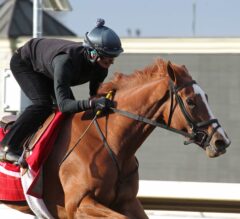 Keeneland Barn Notes: All Blue Grass Horses on the Track Friday at Keeneland