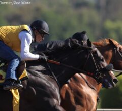 Santa Anita Stable Notes: Danzing Candy ‘Perfect’ Breeze, Stellar Wind Has First Work of 2016