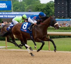 Stephen Foster Preview: Effinex an Easy Standout