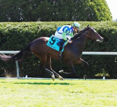 Exaggerated Wins Going Away in Giant’s Causeway