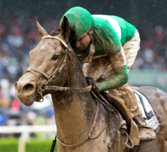 Exaggerator: Overhyped or for Real?