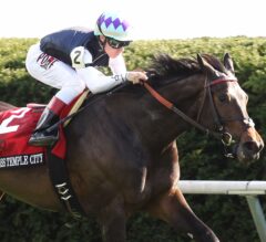 Diana Stakes Preview: Miss Temple City Returns to the United States