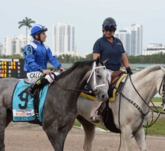 ‘Happy’ Mohaymen Remains on Course for Triple Crown