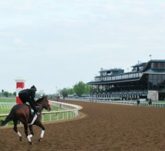 Keeneland Barn Notes: Routine Morning for Nyquist, Final Breeze Scheduled for Friday