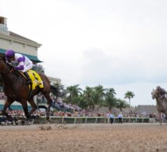 Nyquist Shows Championship Form in G1 $1 Million Florida Derby, Puts Away Mohaymen