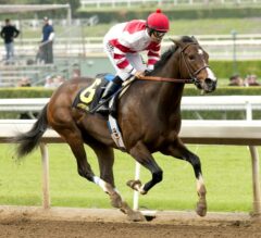 Undefeated Champion Songbird Towers Over Field in G1 Santa Anita Oaks