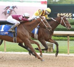 Terra Promessa Makes It Four-In-A-Row With Impressive G3 Fantasy Win at Oaklawn Park