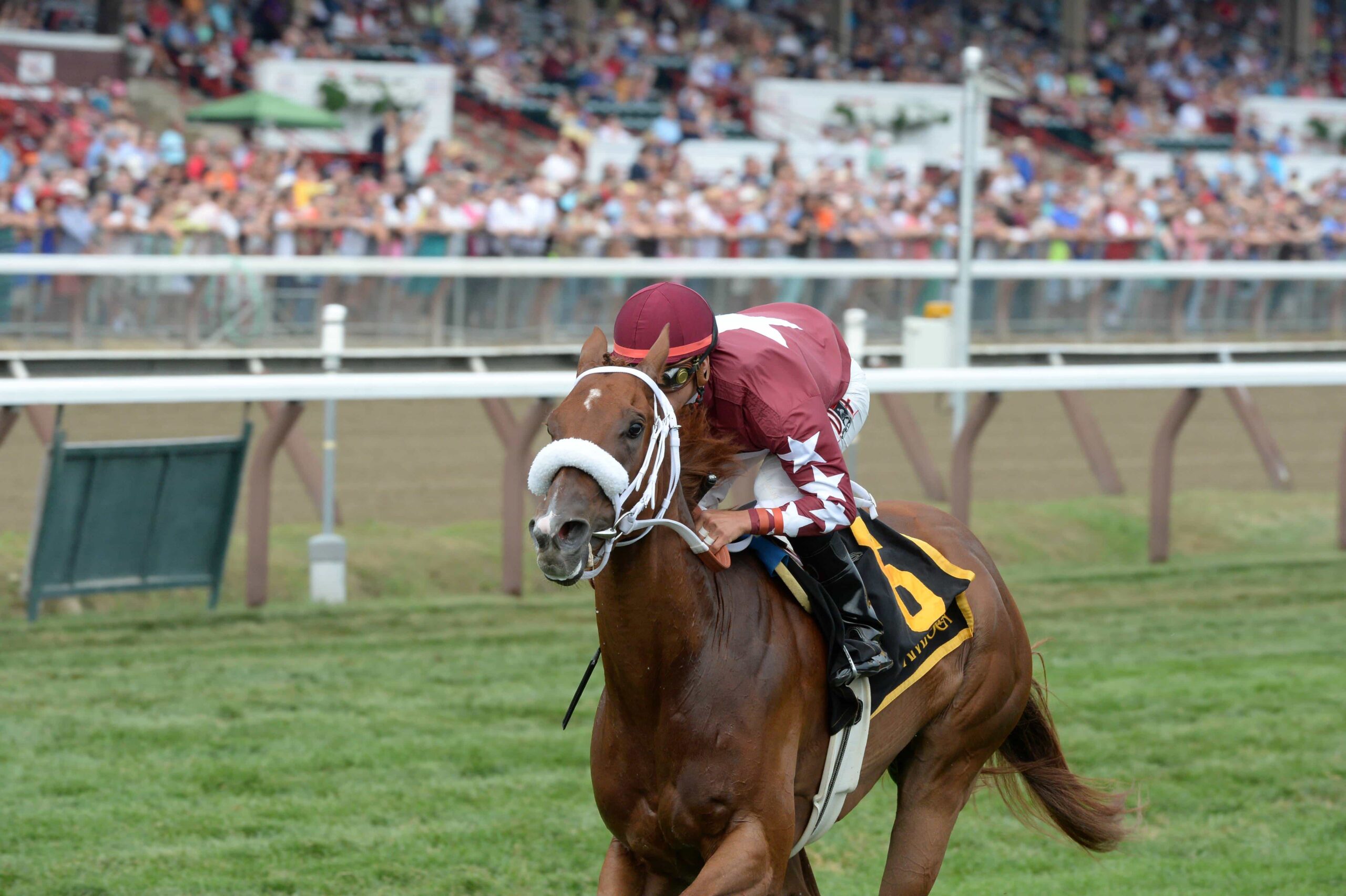 Lady Shipman Making Return to Maryland; Dazzling Gem Confirmed for Sir