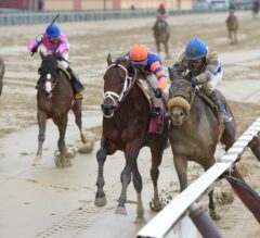 Aqueduct Notes: Wood Memorial Winner Outwork Preps for Kentucky Derby