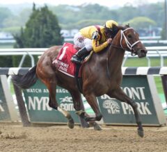 Cavorting Much the Best in G2 Ruffian