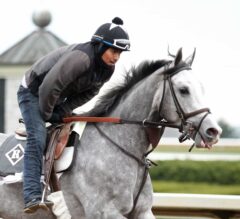Nyquist Jogs at Pimlico; New Shooters Cherry Wine, Laoban Breeze in Kentucky
