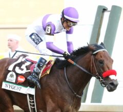 Nyquist Returns to Track with Thursday Jog, Ships Sunday