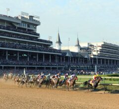 Kentucky Derby Festival Guide