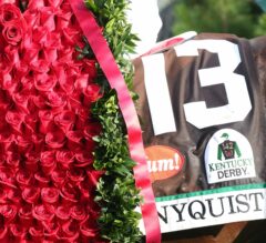 Preakness-Bound Nyquist Slated to Go to Track Wednesday Morning