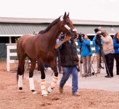 Kentucky Derby Winner Nyquist Arrives at Pimlico for May 21 Preakness