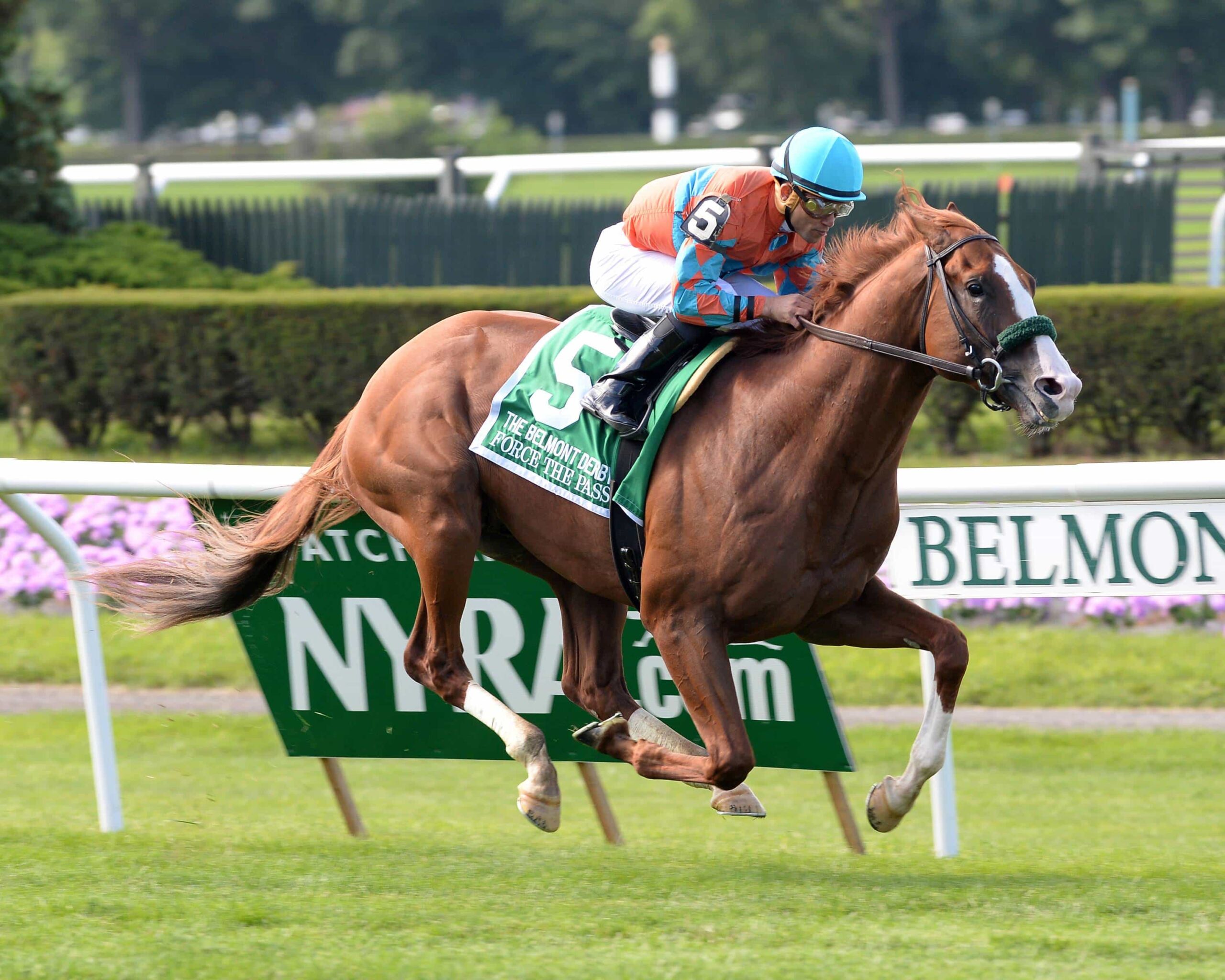 G1 Winners Force the Pass Grand Arch Tangle in G2 Dixie