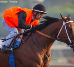 Santa Anita Stable Notes: Preakness Post Position Important for Uncle Lino