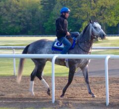 Frosted Steps Out for Met Mile