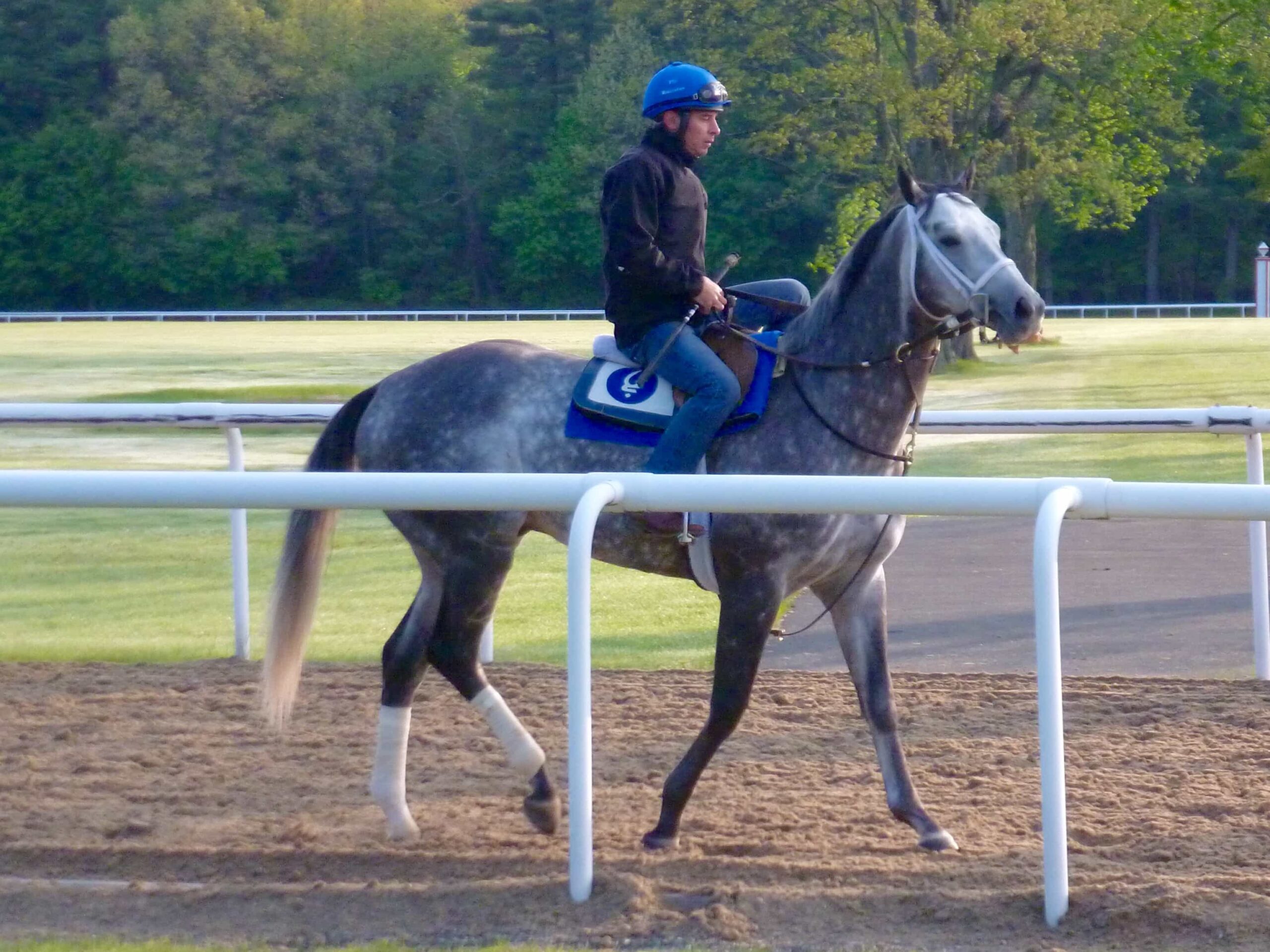 Woodward Stakes Preview Frosted Goes for Unique Triple