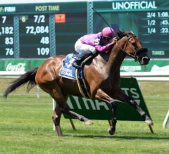 Obviously Goes Gate-To-Wire in G3, $300,000 Poker at Belmont Park
