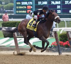 Big ‘Cap Preview: No Arrogate Means Opportunity for Others
