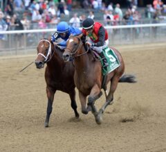 A. P. Indian Holds off Game Marking to Take Belmont Sprint Championship