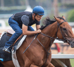 Del Mar Stable Notes: Beholder, Songbird and Nyquist Work [Replay]