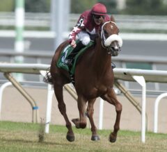 Lady Shipman Impressive in G3 Royal North Stakes at Woodbine